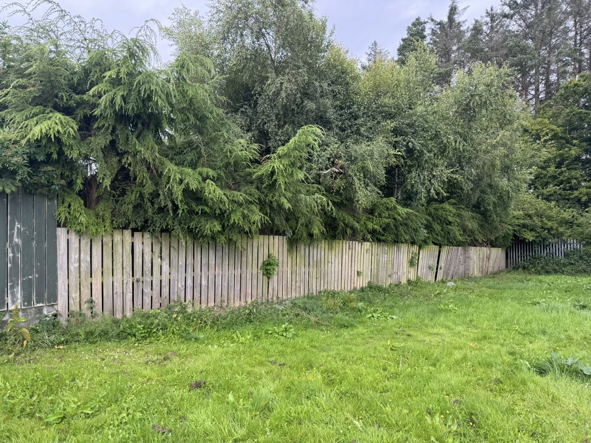 518284738_122132664680725688_7204528775591411413_n 518284738_122132664680725688_7204528775591411413_n