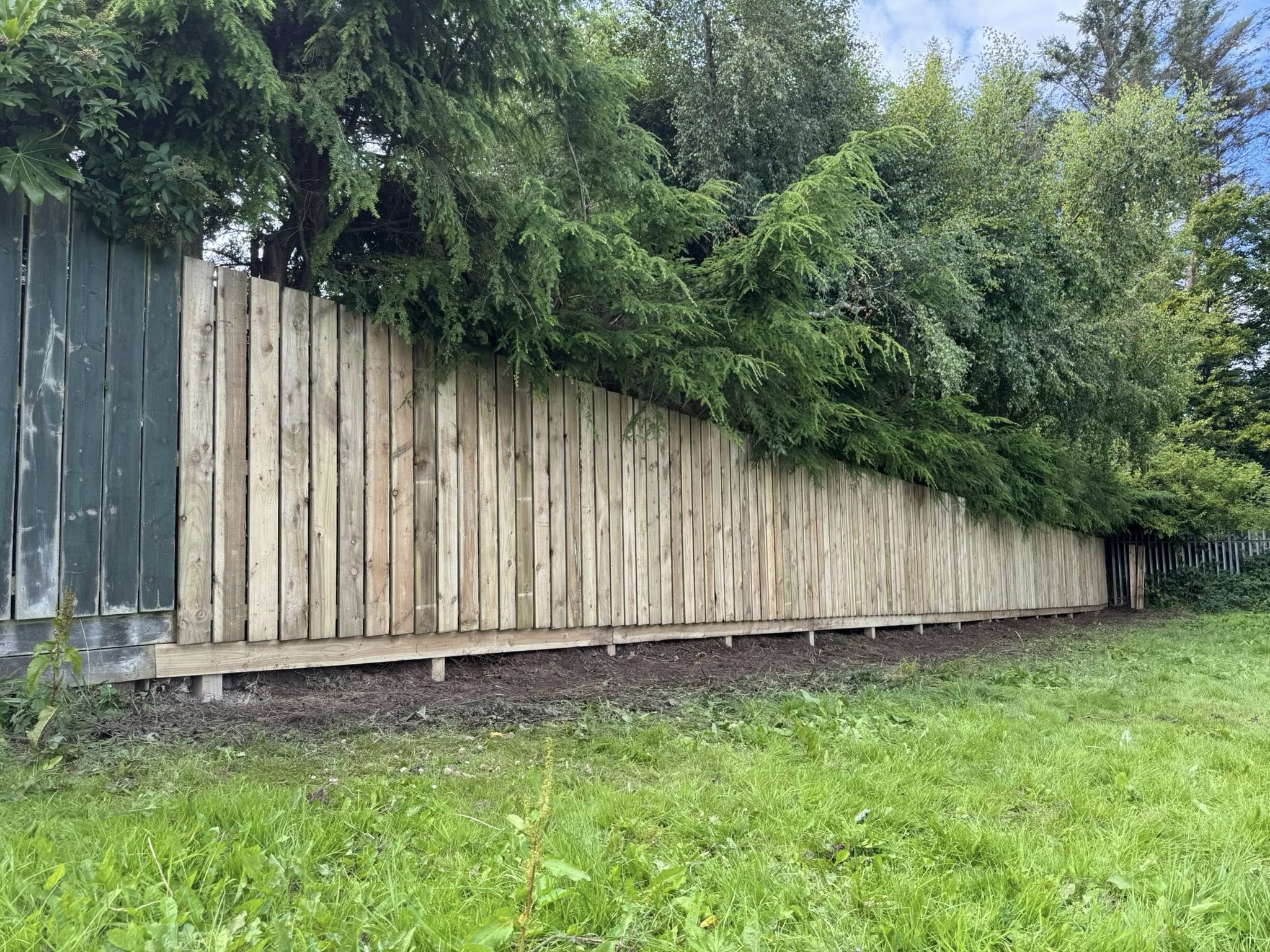 518377570_122132664848725688_551373226375258784_n