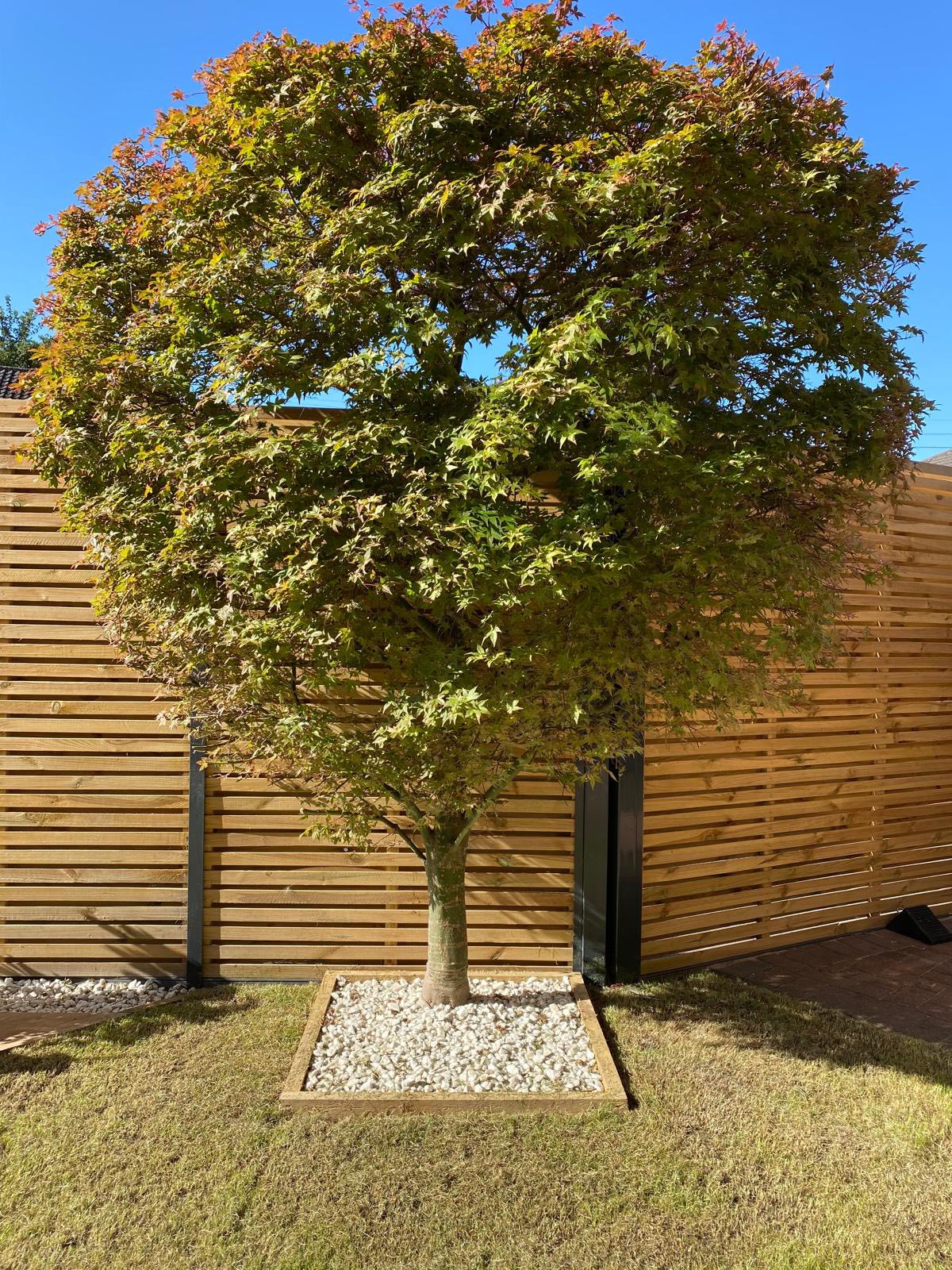 526898392_122134543790725688_720019643184954275_n