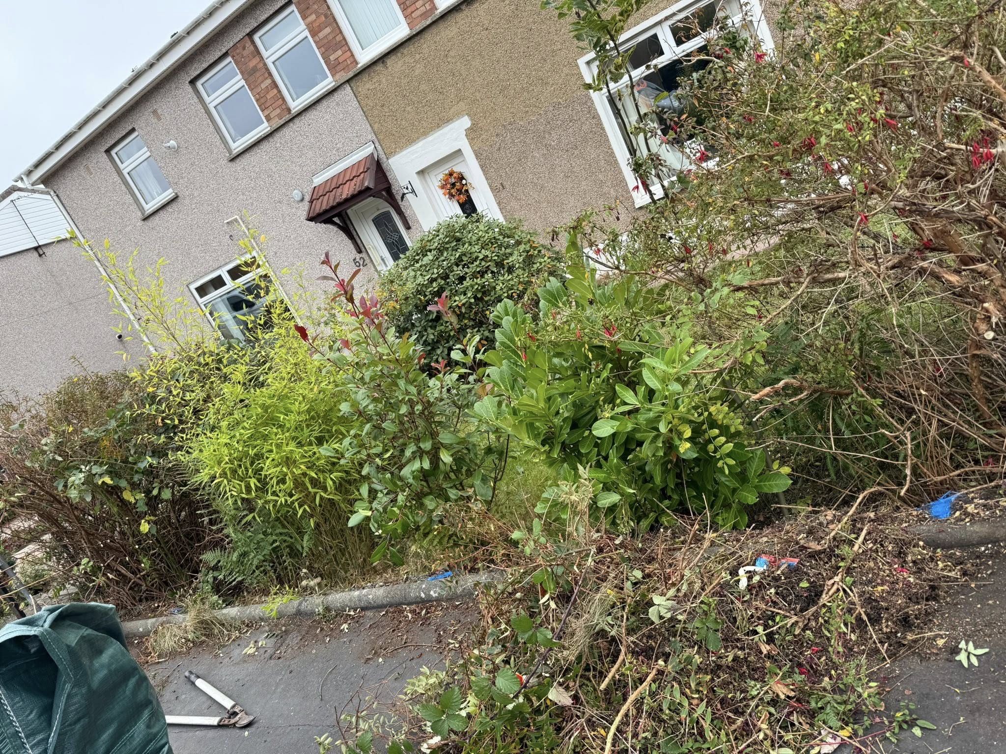 568336979_122142449942725688_2458638782757228093_n 568336979_122142449942725688_2458638782757228093_n