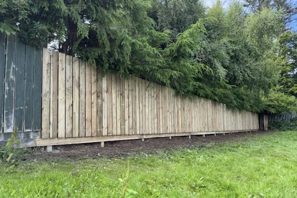 518377570_122132664848725688_551373226375258784_n