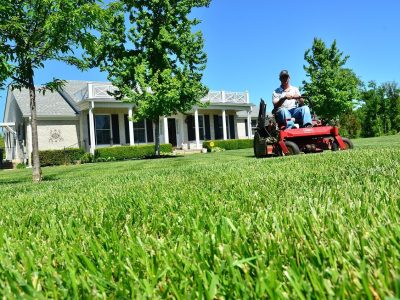 Lawn Care & Maintenance